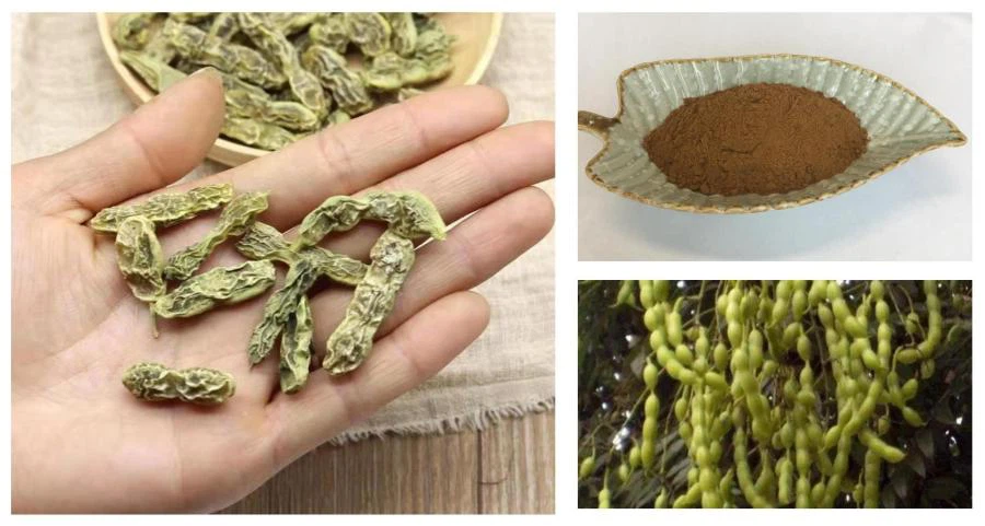 Sophora Japonica Fruit Extract